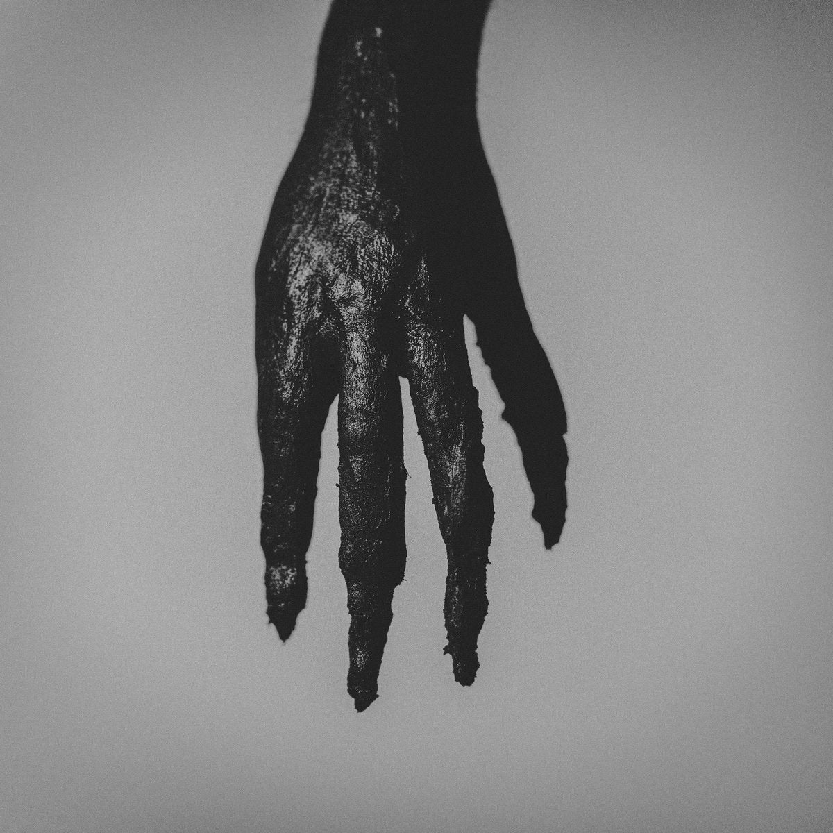 CURRENTLY ON PRE-ORDER FROM PELAGIC RECORDS