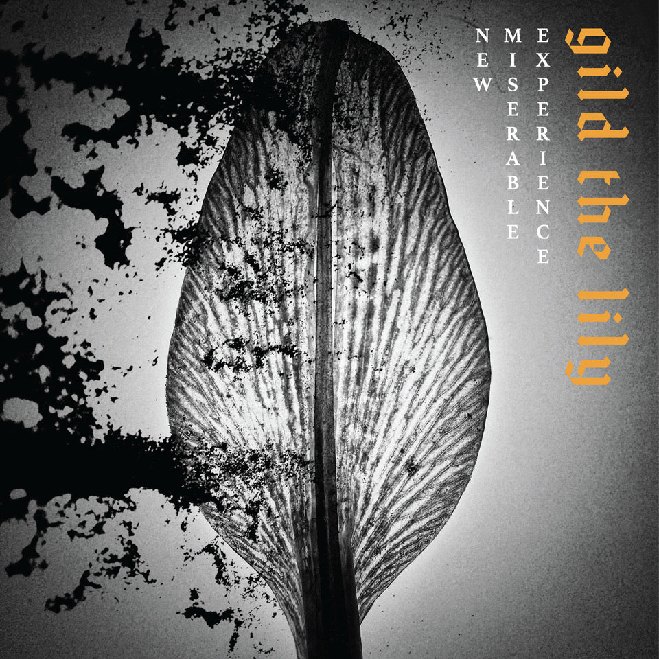 NEW MISERABLE EXPERIENCE