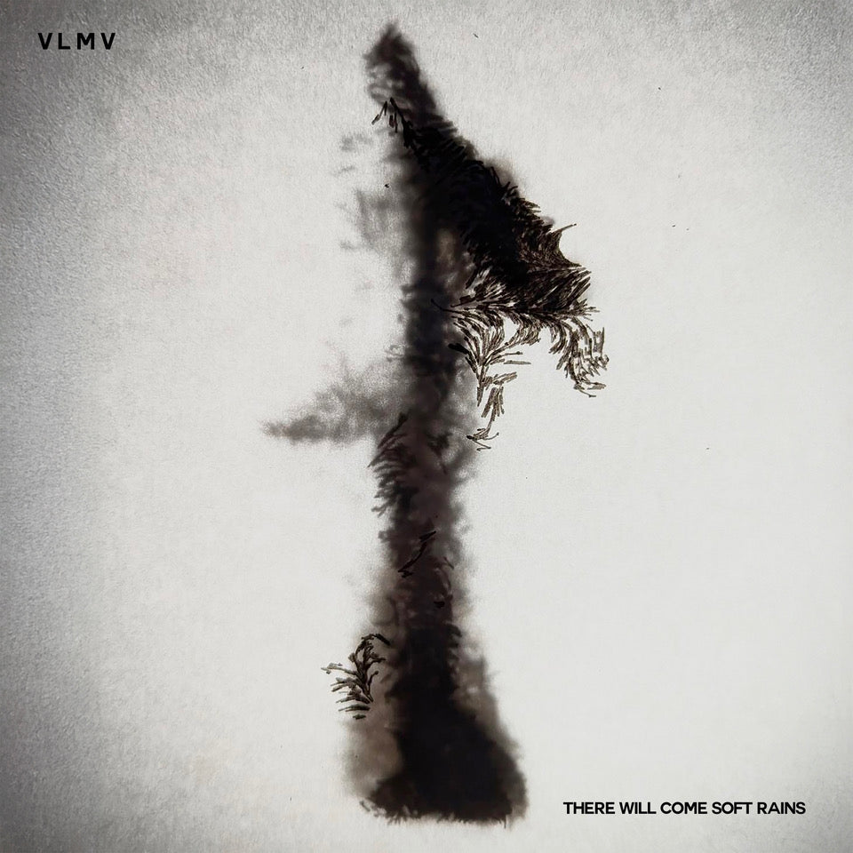 VLMV
