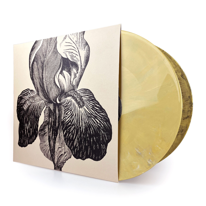 A SWARM OF THE SUN - Live at dunk!festival 2025 [2xLP] (pre-order)