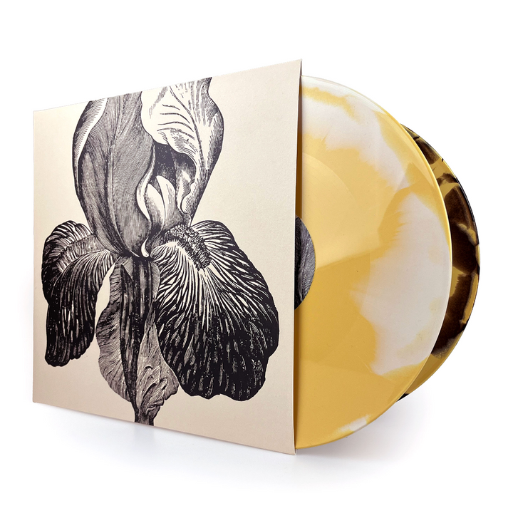 A SWARM OF THE SUN - Live at dunk!festival 2025 [2xLP] (pre-order)