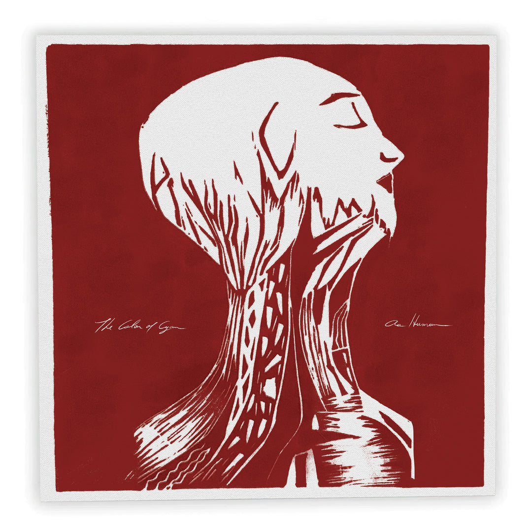 THE COLOR OF CYAN - As Human [LP] (pre-order)