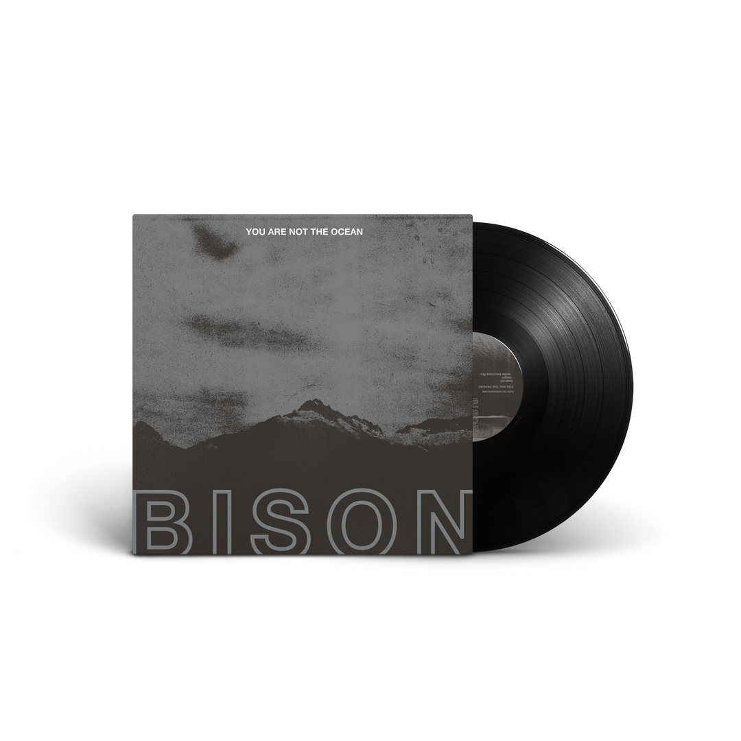BISON - You Are Not The Ocean You Are The Patient [LP]