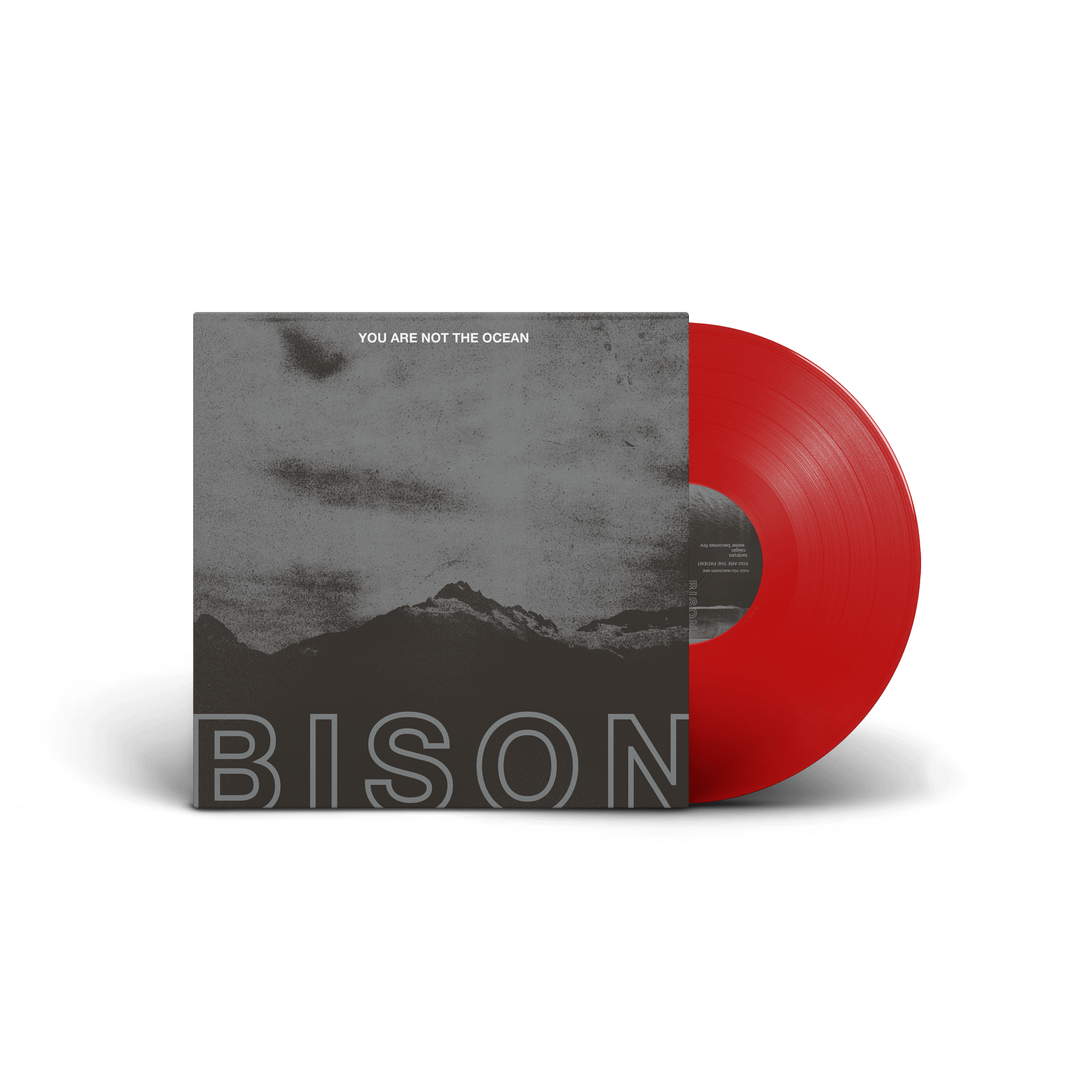 BISON - You Are Not The Ocean You Are The Patient [LP]