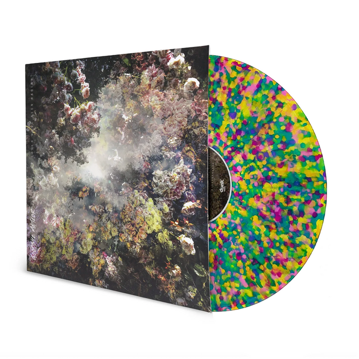 GOODBYE METEOR - We Could Have Been Radiant [LP]