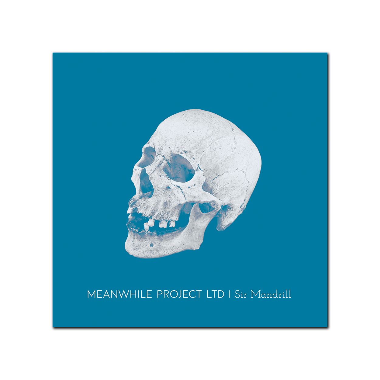 Love Lost Table with Skull/ダミアンハースト/ポスター