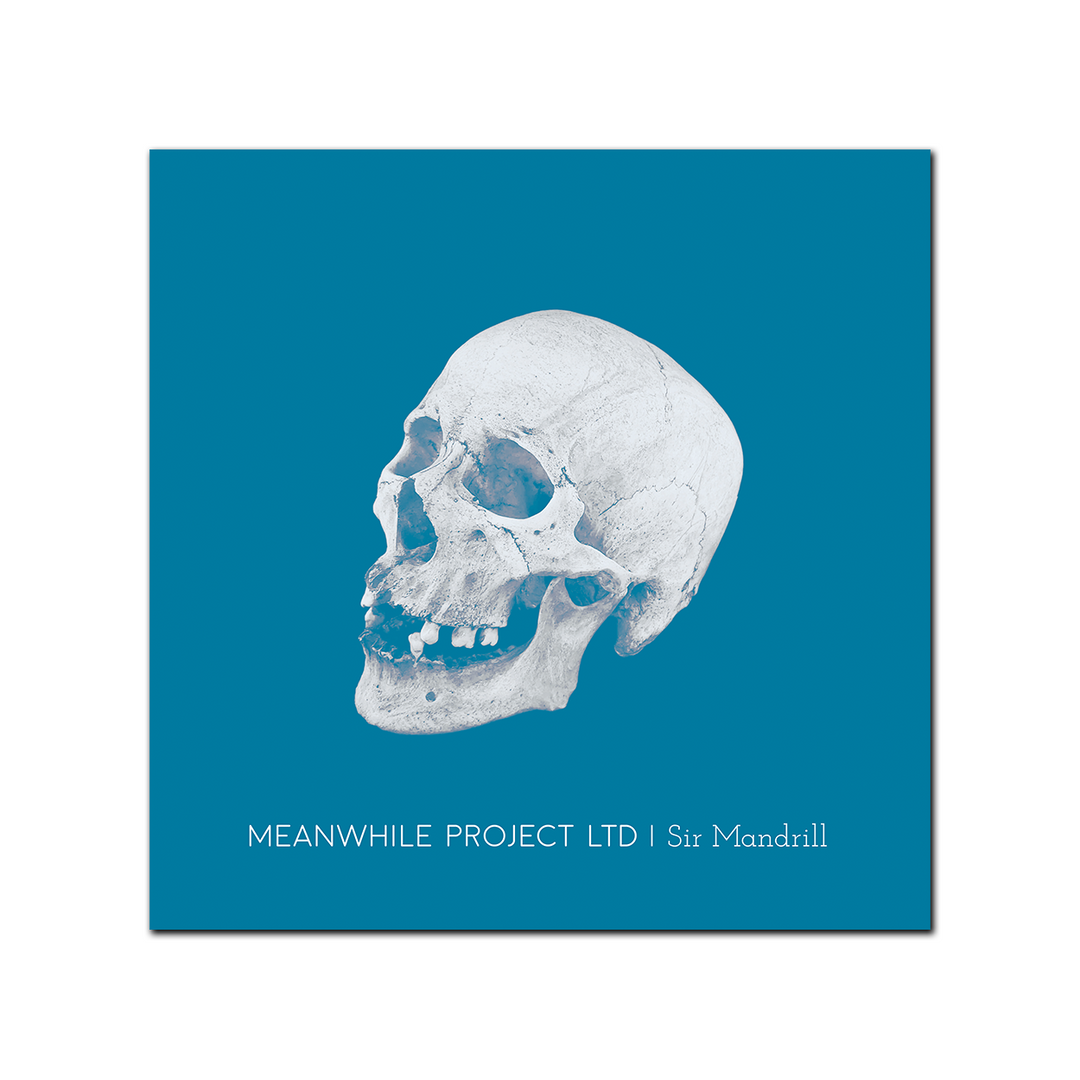 MEANWHILE PROJECT LTD - Sir Mandrill [LP] (pre-order)