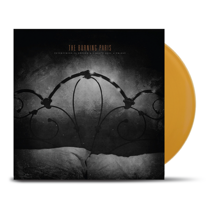 THE BURNING PARIS - Everything is Broken & I Don't Feel a Thing [LP]