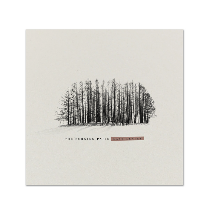 THE BURNING PARIS - Last Leaves Deluxe Edition [LP] (pre-order)