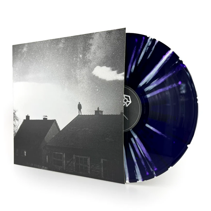 WE.OWN.THE.SKY - In Your Absence [LP]