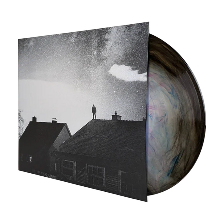 WE.OWN.THE.SKY - In Your Absence [LP]