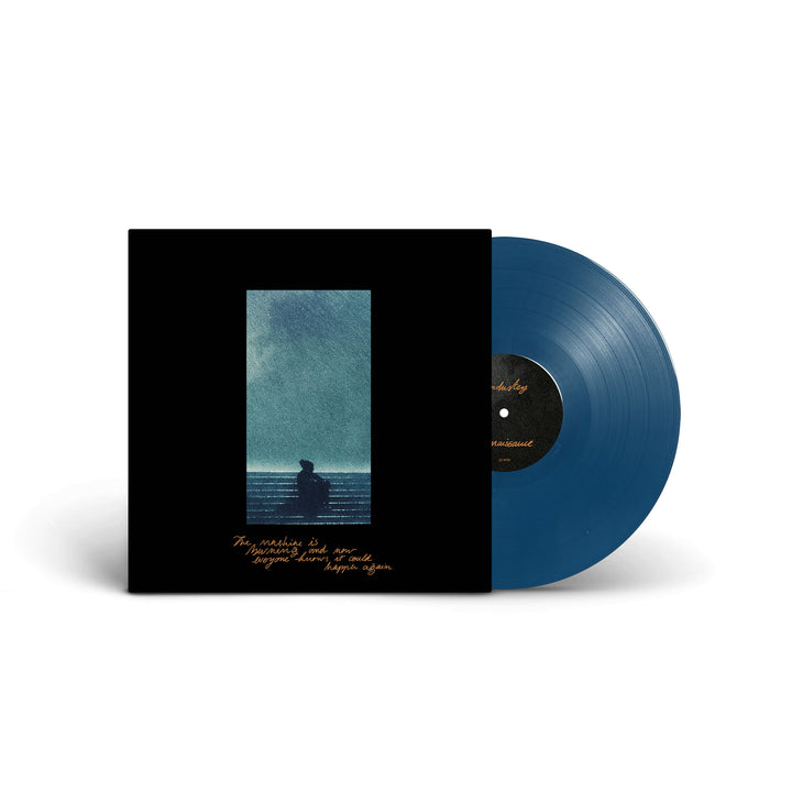 BRUIT ≤ - The Machine Is Burning And Now Everyone Knows It Could Happen Again [LP]
