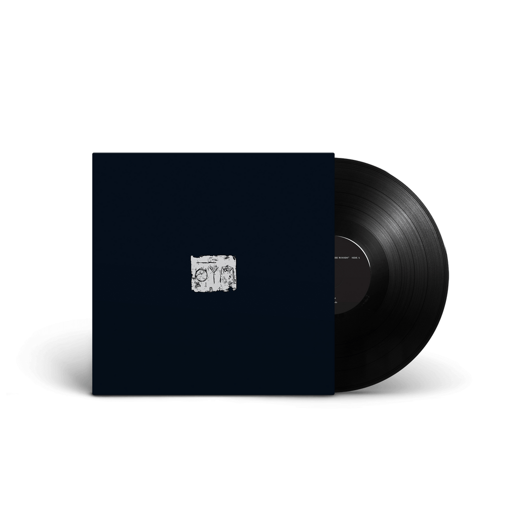 A SWARM OF THE SUN - The Woods [LP]