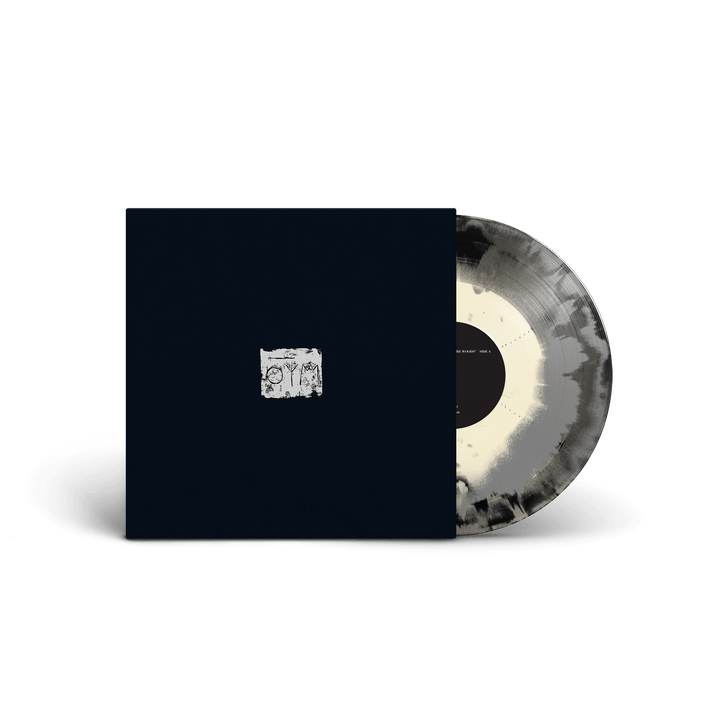 A SWARM OF THE SUN - The Woods [LP]