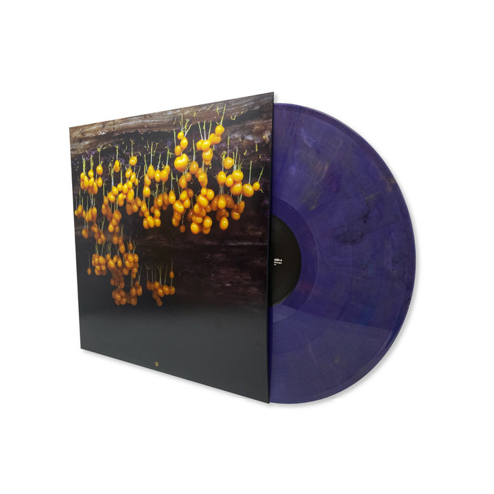 LAV - A New Landscape [LP]