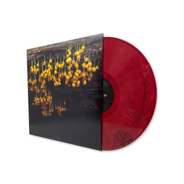 LAV - A New Landscape [LP]
