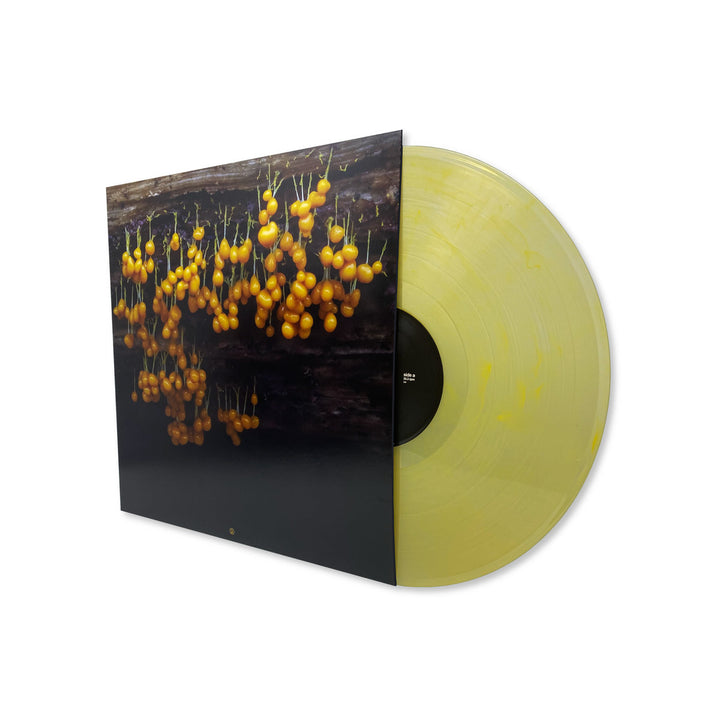 LAV - A New Landscape [LP]