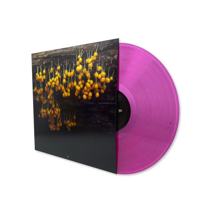 LAV - A New Landscape [LP]