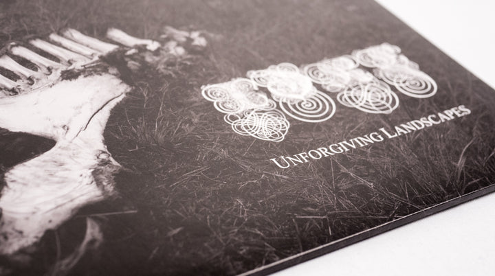 IDRE - Unforgiving Landscapes [LP]