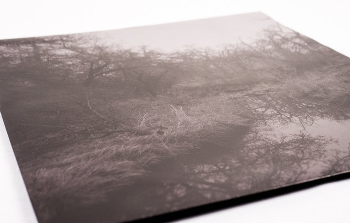 IDRE - Unforgiving Landscapes [LP]