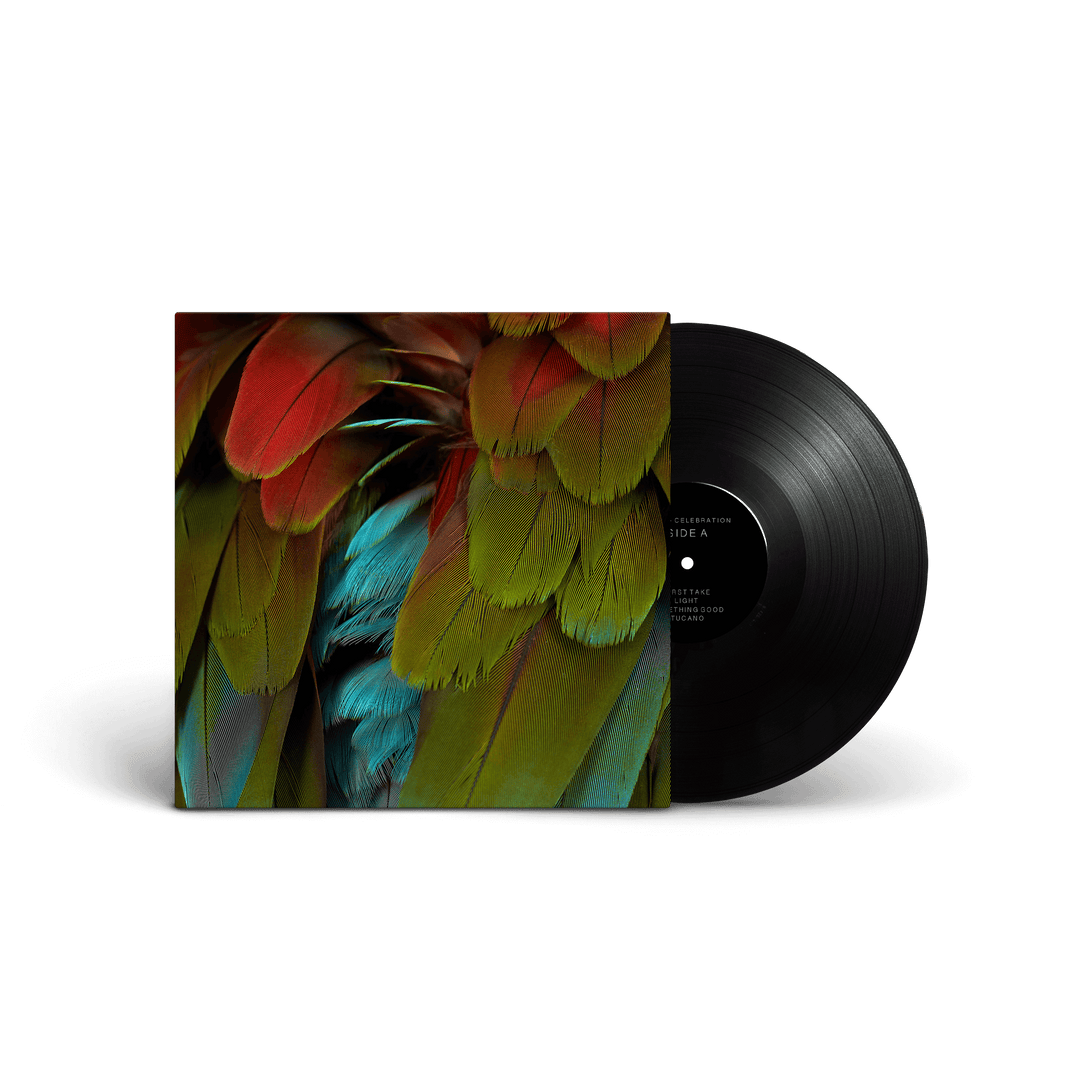 NYOS - Celebration [LP]