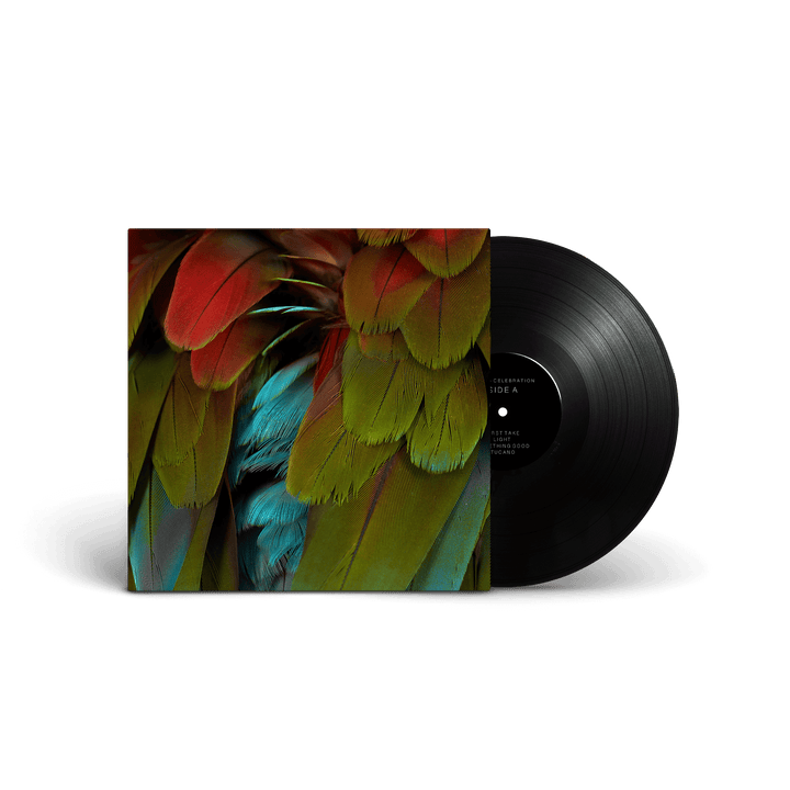 NYOS - Celebration [LP]